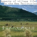 Aspects of Village Life in the New Territories